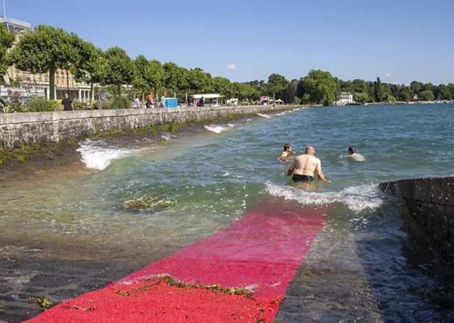 Le quai Wilson (GE) aménagé pour mettre l'eau